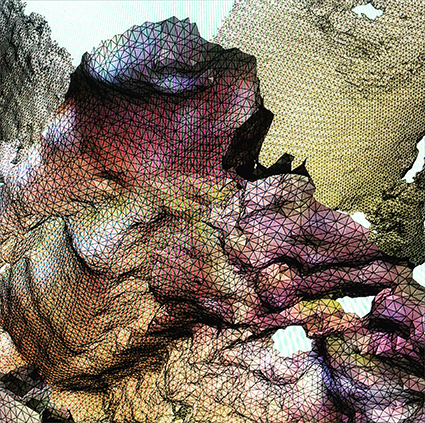 Interrupted 3D scan by artist Paul Coombs